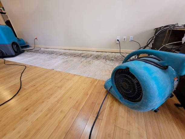 Professional Water Removal technician working in East Jewett, NY